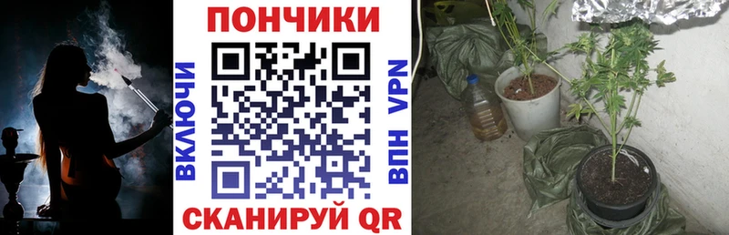 Купить наркотики цена Павловск АМФЕТАМИН Меф KRAKEN маркетплейс Конопля Cocaine A PVP ГАШИШ Галлюциногенные грибы