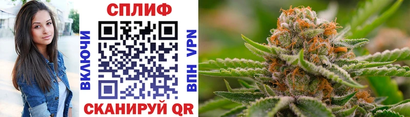 где купить   Павловск  МАРИХУАНА Amnesia 